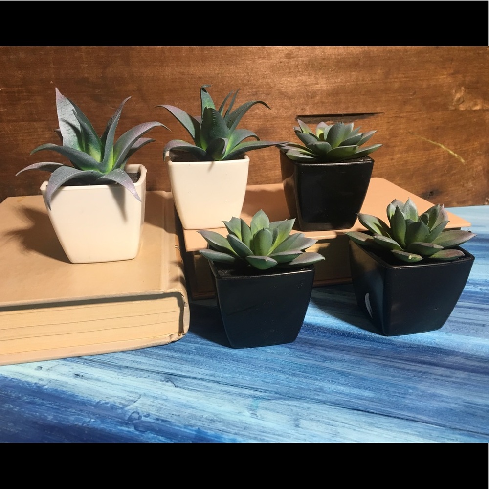 Mini faux succulents